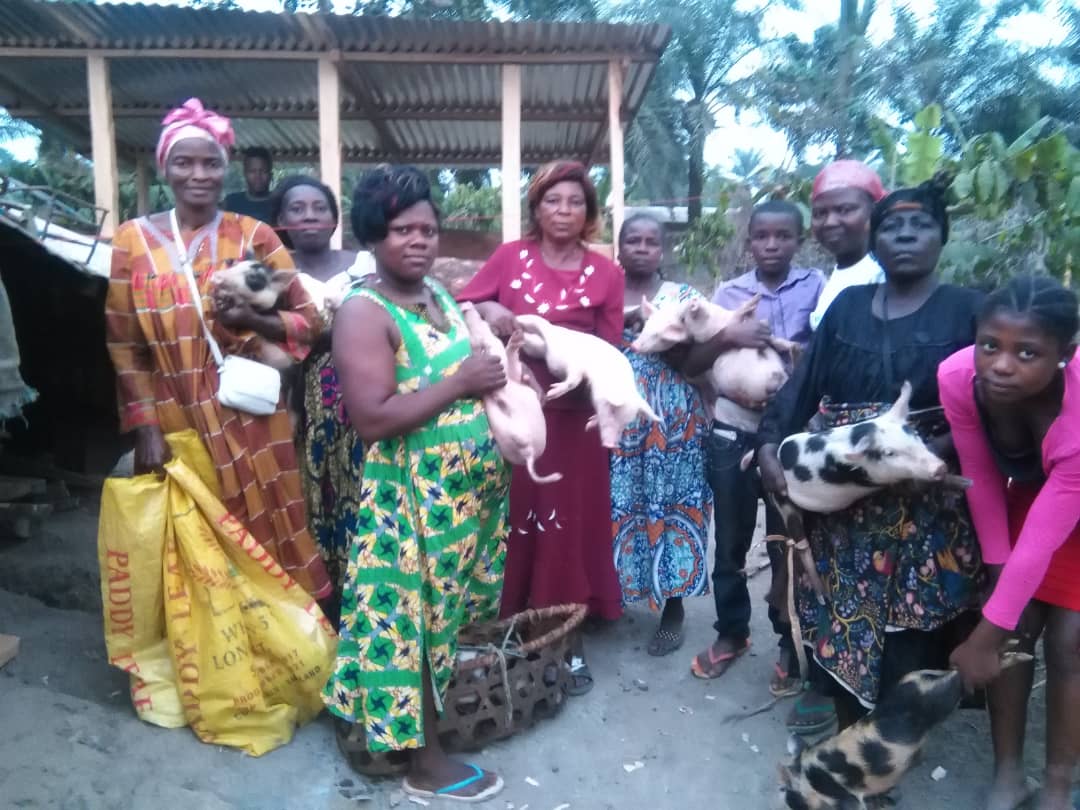 NKONG Widows Piggery Projects Integrates Poultry